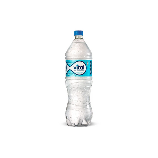 Agua Mineral Vital Con Gas 1,6 lt